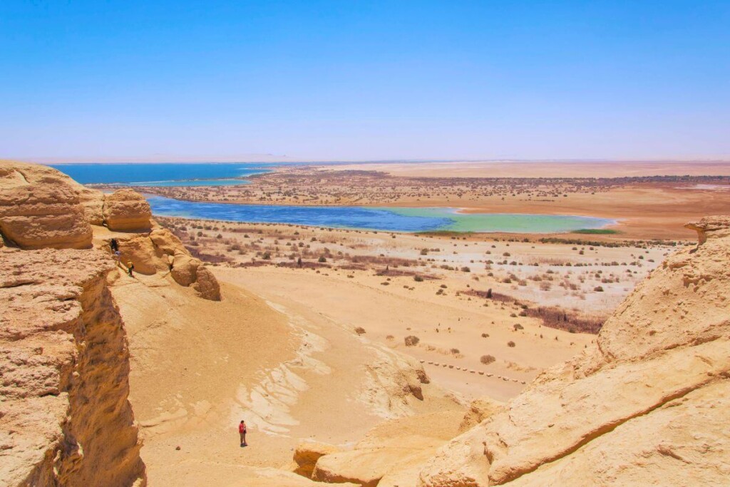 Fayoum Oasis