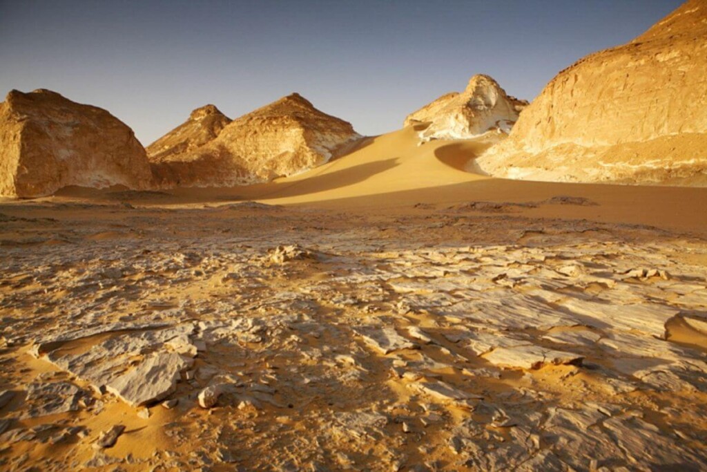 Bahariya Oasis