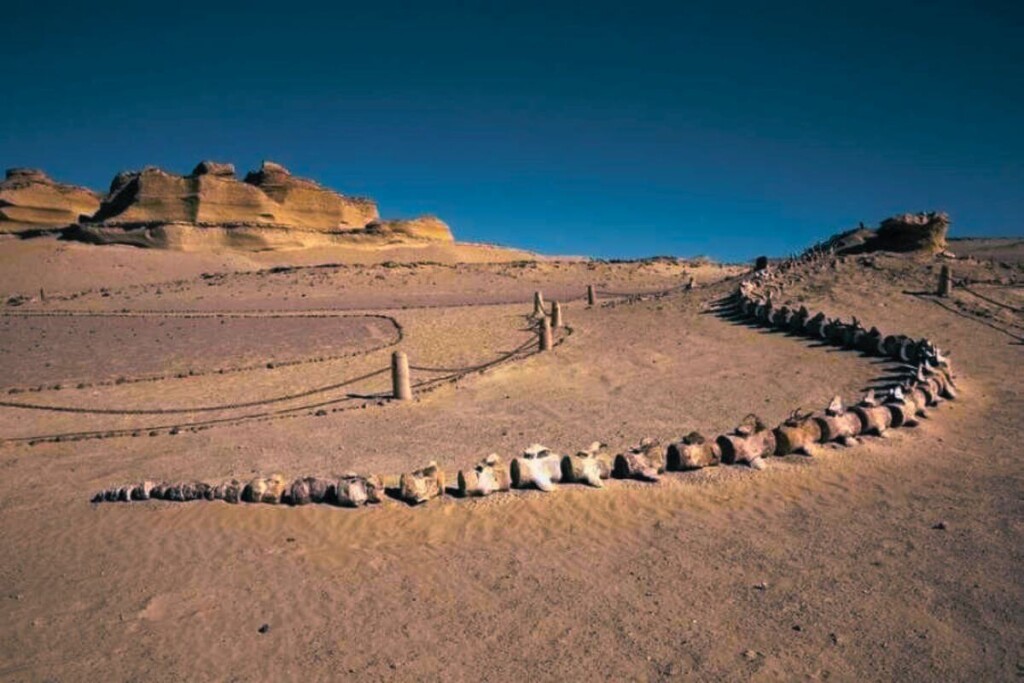 Fayoum Oasis