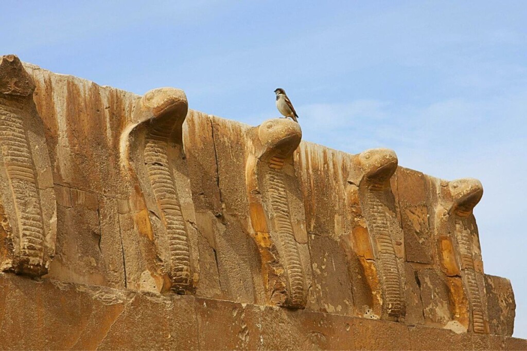 ancient egyptian symbols